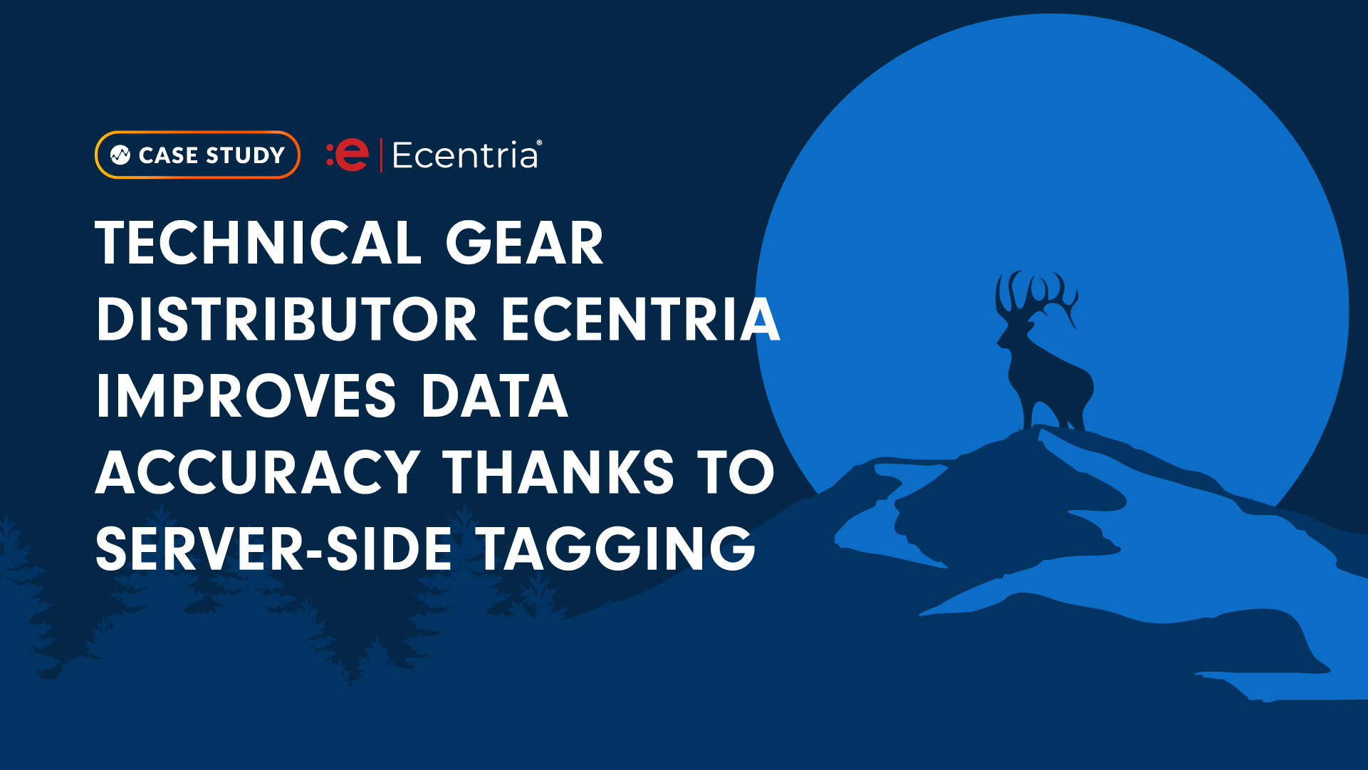 Technical Gear Distributor Ecentria Improves Data Accuracy Thanks to Server-Side Tagging